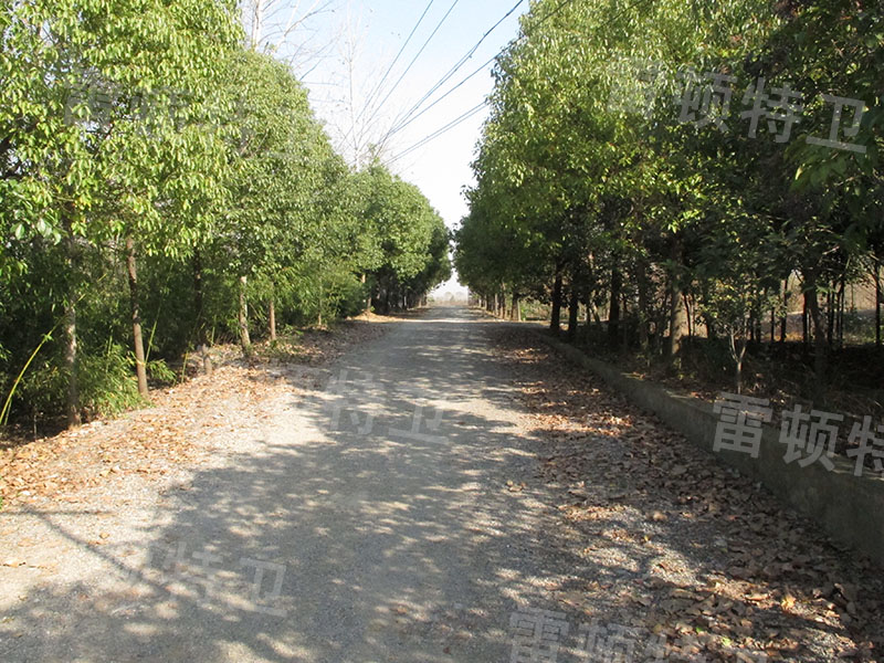 特训场地